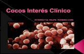 Cocos Interes Clinico