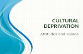 Cultural deprivation theory of education