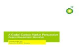 A Global Carbon Market Perspective