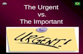 The Urgent Vs The Important