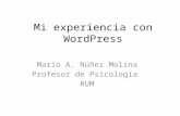 Mi experiencia con WordPress