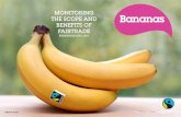 2012 Fairtrade Bananas Impact and Facts