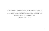 Evaluare Lacatus Mecanic