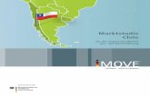 d Imove-marktstudie Chile 2012 (1)