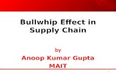 2 Bullwhip Effect