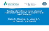 Targeting interventions to reduce catchment sedimentation sub watershed in the White Volta basin