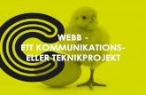 Webb – ett kommunikations- eller teknikprojekt?
