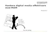 Hantera digital-media-effektivare-med-mam ts