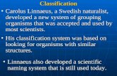 Classify Organisms Qand A