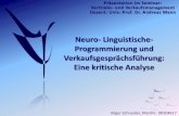 Neuro-Linguistische-Programmierung und Verkaufsgesprächsführung: Eine kritische Analyse