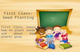 First class seed planting