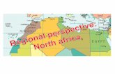 Regional perspective - North Africa: production, constraints, market, future