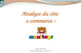 Analyse du site e commerce maxitoys