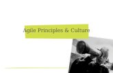 Agile principles & culture