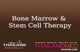 TMT_Bone marrow & stem cell therapy