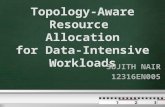 Topology Aware Resource Allocation