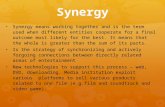 Synergy Powerpoint