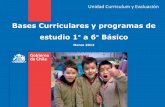 Bases Curriculares PPT