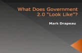 What Does Government 2.0 Look Like?