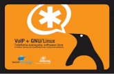 VoIP + GNU/Linux