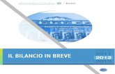 Bilancio in breve_2012  STATO ITALIANO