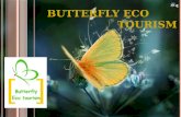 Butterfly Ecotourism
