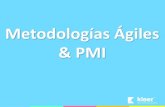 Metodologias Agiles Y PMI - Mar-2010
