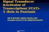 Stat3 protein in psoriasis  by yousry