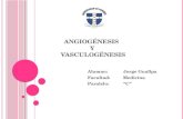 Angiogénesis y vasculogénesis.
