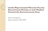 Assessing Faculty Diversity in US Medical Schools