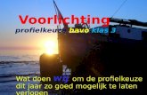 Profielkeuze havo website nov 2012