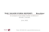 The Silver Fern Report - June 2010