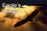 Eagle's wings