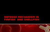 Defence mechanism in finfish  and shellfish jassi 2