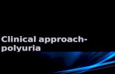 Clinical approach to a patient complaining of polyuria