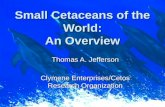 Small Cetaceans of the World - Dr. Tom Jefferson