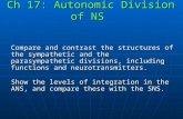 The NEURO: Autonomic division