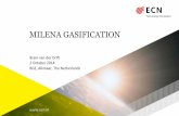 Milena Gasification - Bram van der Drift