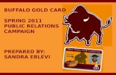 Buffalo Gold Card Spring 2011 PR Campaign Presentation