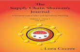 The Supply Chain Shaman's Journal - A Focused Look at Sales and Operations Planning