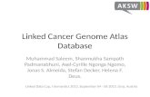 Linked Cancer Genome Atlas Database