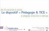 Le dispositif « Pédagogie & TICE » : une offre de services mutualisés en pédagogies universitaire et numérique