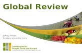 Global Review Overview