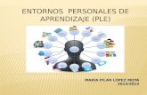 El Entorno Personal de Aprendizaje (PLE)