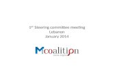 1 st steering committee meeting-