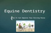 Dentistry - How It Can Improve Your Driving Horse