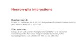 Neuron Glial Interactions