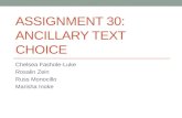 Assignment 30 Ancillary text choice