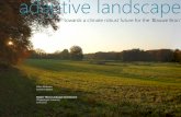 Adaptive Landscape - MSc thesis