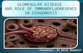 Glomerular diseases